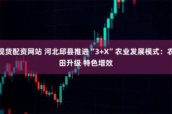 现货配资网站 河北邱县推进“3+X”农业发展模式:农田升级 特色增效